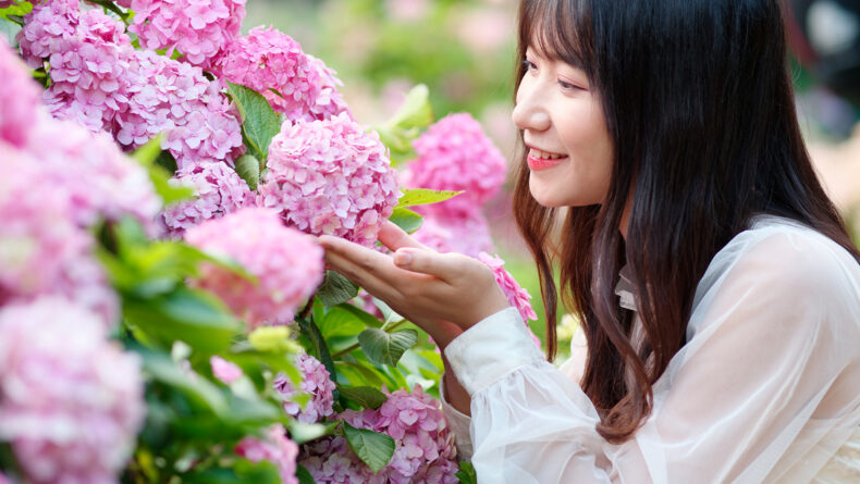 5 Glorious Hydrangea-Viewing Spots in Tokyo