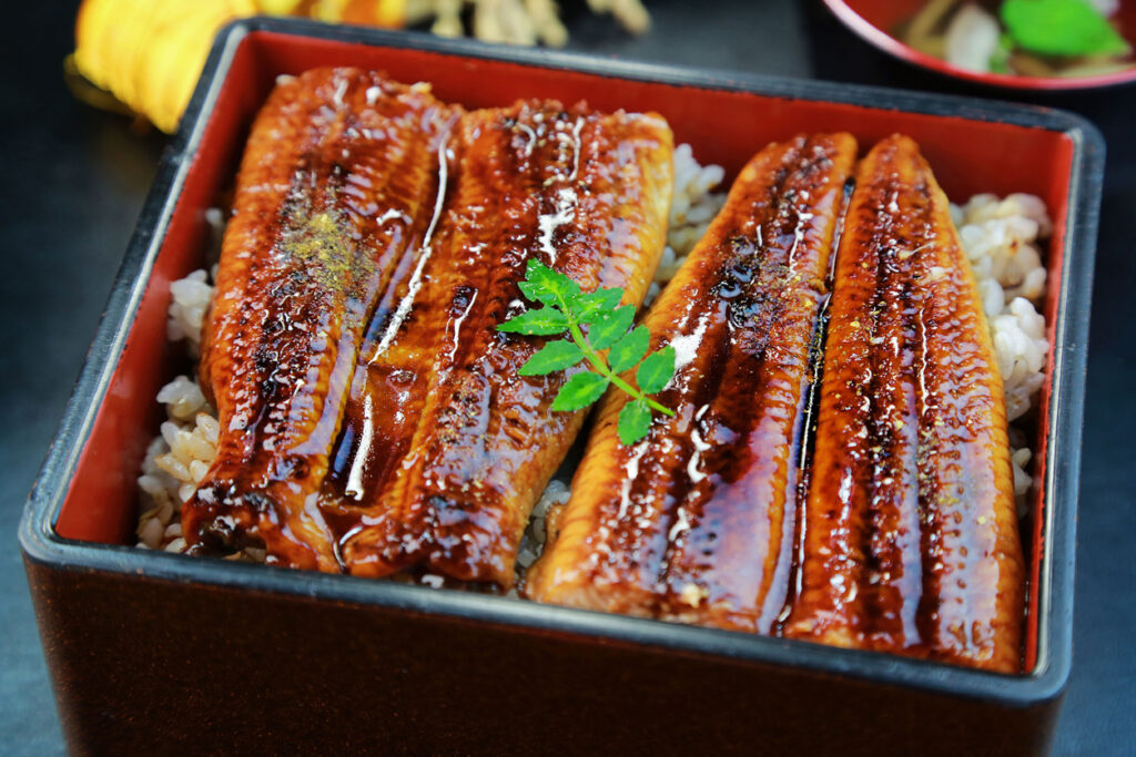 5 Delicious Summer Fish in Japan